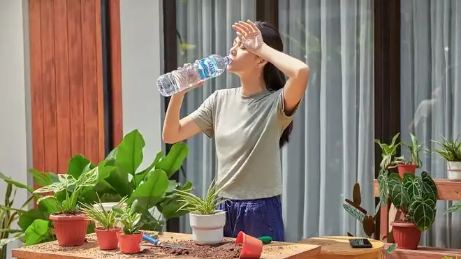 5 Penyebab Cuaca Panas, Kenali Pengaruhnya Bagi Tubuh!