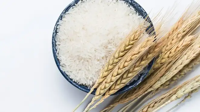 4 Aturan Makan Nasi untuk Diet Sehat Agar Berat Badan Turun