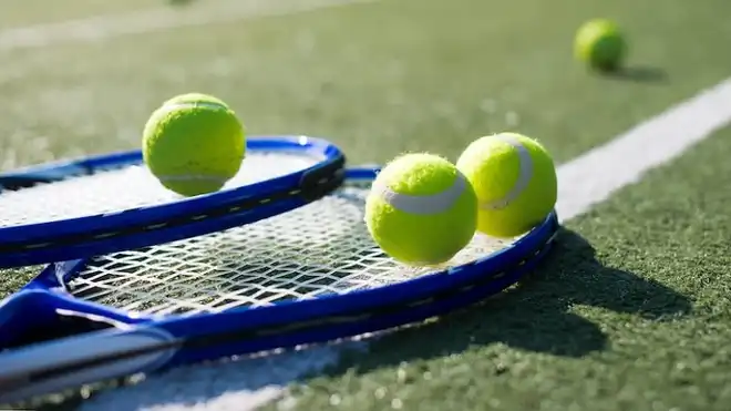 10 Istilah dalam Permainan Tenis Lapangan yang Wajib Dipahami