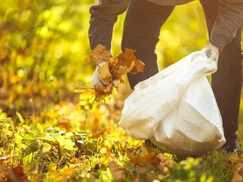 12 Cara Efektif Menjaga Kebersihan Lingkungan untuk Hidup Sehat