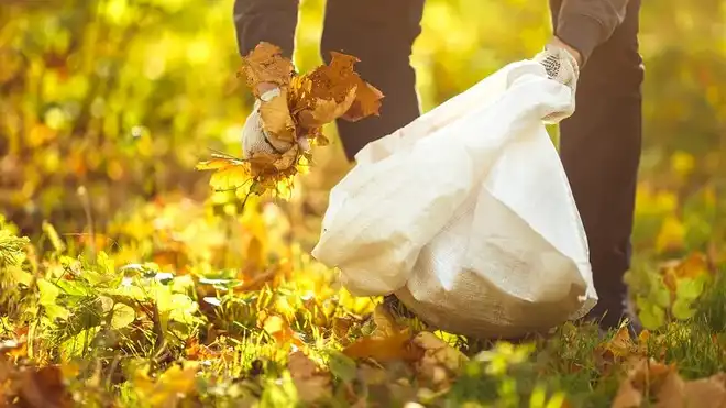 12 Cara Efektif Menjaga Kebersihan Lingkungan untuk Hidup Sehat