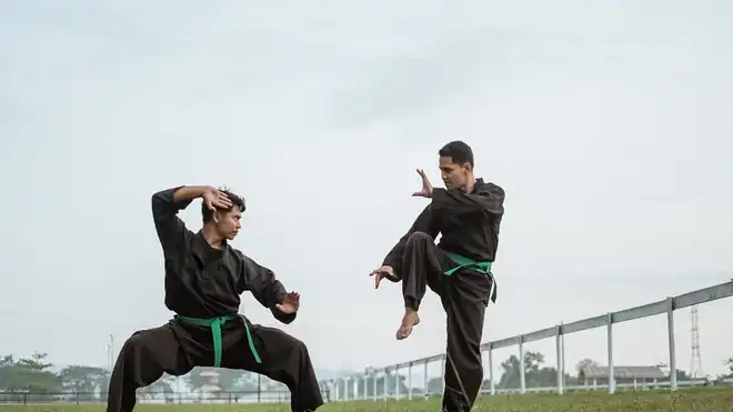 Pencak Silat: History, Basic Techniques, and Benefits