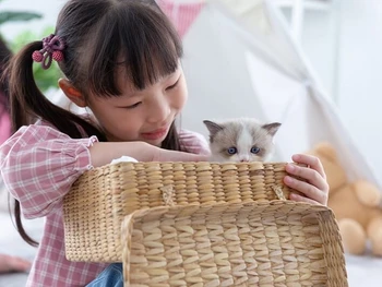 10 Manfaat Memelihara Hewan di Rumah untuk Kesehatan, Simak!