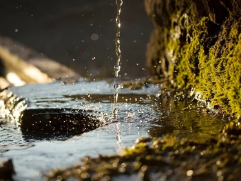 Kenali Perbandingan Sumber Air Terlindungi & Tak Terlindungi!