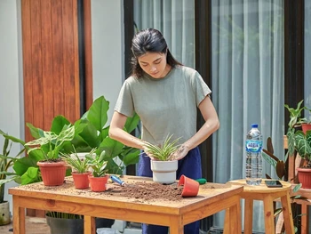 9 Manfaat Berkebun, Bagus untuk Kesehatan Fisik dan Mental!