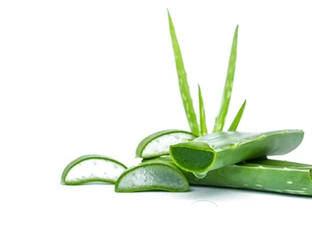 11 Manfaat Lidah Buaya untuk Kesehatan Tubuh dan Kulit