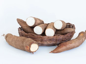 7 Manfaat Singkong Rebus yang Kaya Nutrisi untuk Kesehatan