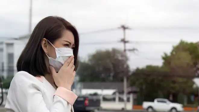 5 Ciri-Ciri Lingkungan Tidak Sehat dan Cara Mengatasinya