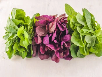 10 Manfaat Bayam Merah untuk Kesehatan, Cegah Anemia!