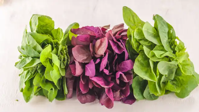 10 Manfaat Bayam Merah untuk Kesehatan, Cegah Anemia!