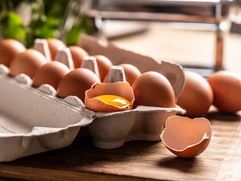Ini Dia 5 Ciri-Ciri Telur yang Baik dan Segar untuk Dimakan