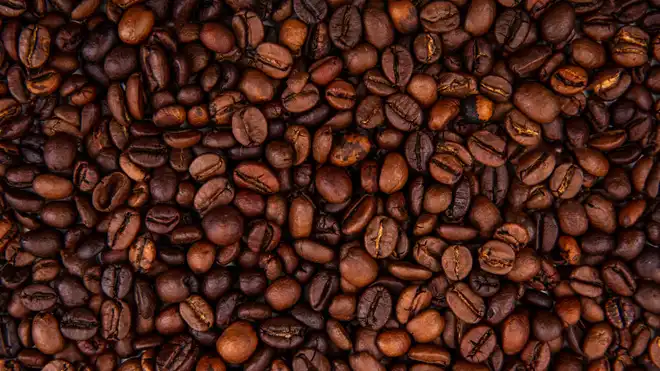 6 Perbedaan Biji Kopi Robusta dan Arabika, Bukan dari Rasa!