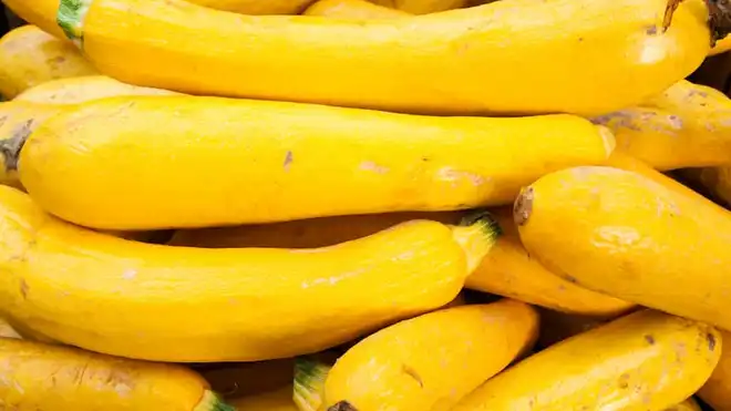 8 Manfaat Timun Suri untuk Kesehatan, Yuk Ketahui di Sini!