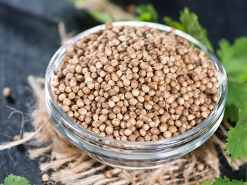 10 Manfaat Minum Air Ketumbar Sebelum Tidur