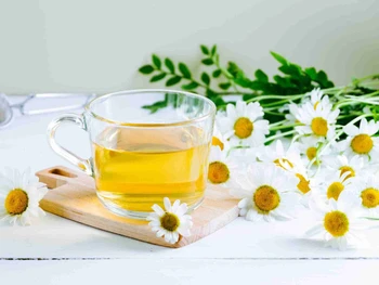 7 Minuman Herbal untuk Asam Lambung, Aman Dikonsumsi!