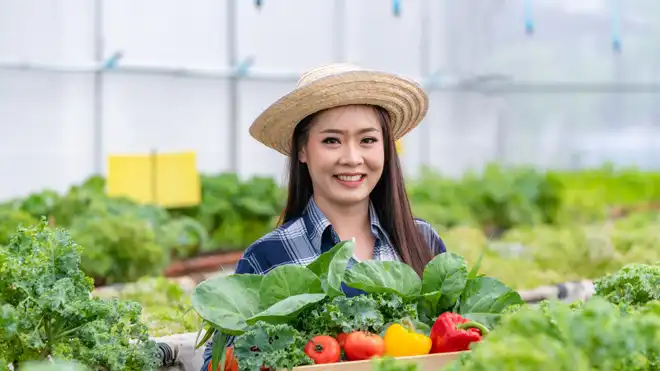Hidroponik dengan Botol AQUA Bekas? Begini Caranya!