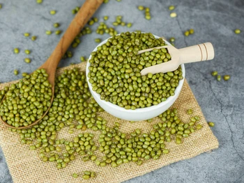 Begini Cara Menanam Kacang Hijau di AQUA Gelas dengan Tanah