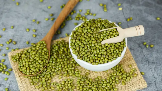 Begini Cara Menanam Kacang Hijau di AQUA Gelas dengan Tanah