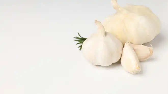 Cara Menanam Bawang Putih di Botol AQUA, Mudah dan Hemat!