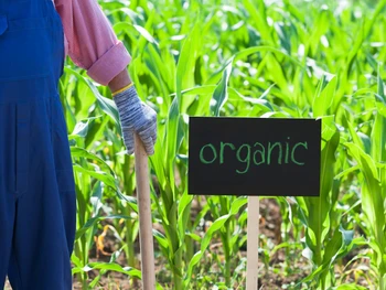 How to Make Organic Liquid Fertilizer at Home? Find Out Here!