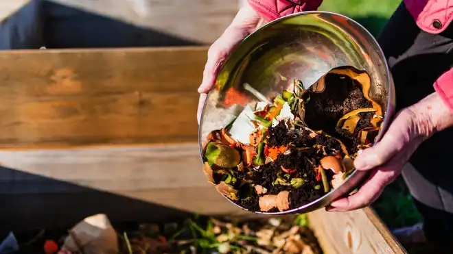 How To Dispose of Waste Properly? Here Are The Tips!