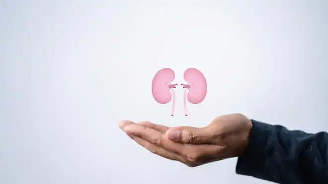 9 Cara Mencegah Batu Ginjal, Mulai dari Hidrasi yang Cukup