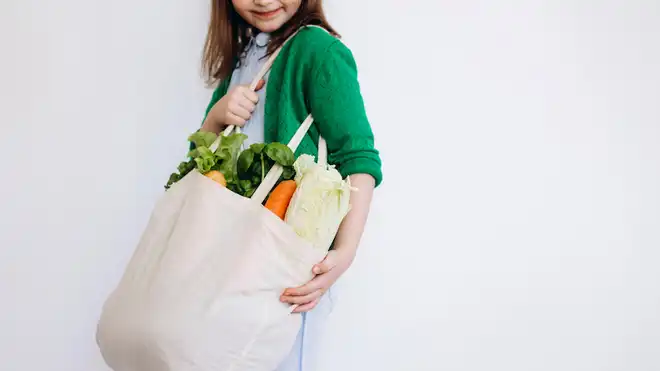 Apa itu Gaya Hidup Berkelanjutan? Manfaat & Cara Menerapkan