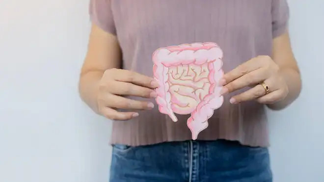 Macam-Macam Enzim Pencernaan dan Fungsinya, Kamu Harus Tahu!