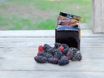 9 Manfaat Buah Blackberry untuk Kesehatan Tubuh Secara Alami