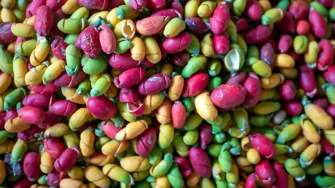 6 Manfaat Kulit Melinjo untuk Kesehatan Tubuh