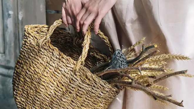 15 Oleh-Oleh Khas Palu yang Wajib Dibawa Pulang