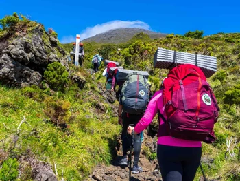 Jalur Pendakian Gunung Lawu yang Cocok untuk Pemula