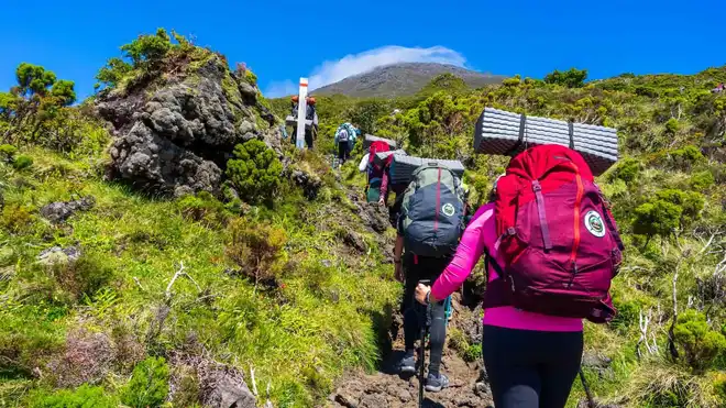 Jalur Pendakian Gunung Lawu yang Cocok untuk Pemula
