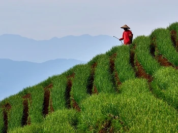 12 Rekomendasi Tempat Wisata di Majalengka, Wajib Tahu!
