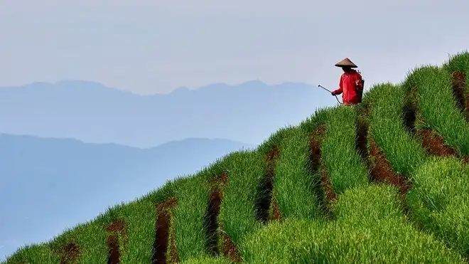 12 Rekomendasi Tempat Wisata di Majalengka, Wajib Tahu!