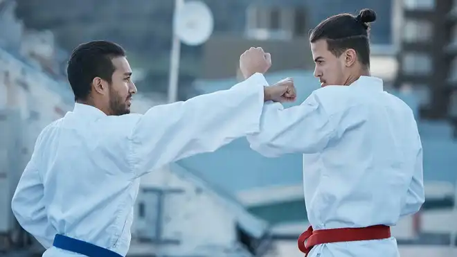 7 Tingkatan Sabuk Karate, Mulai Sabuk Putih hingga Hitam